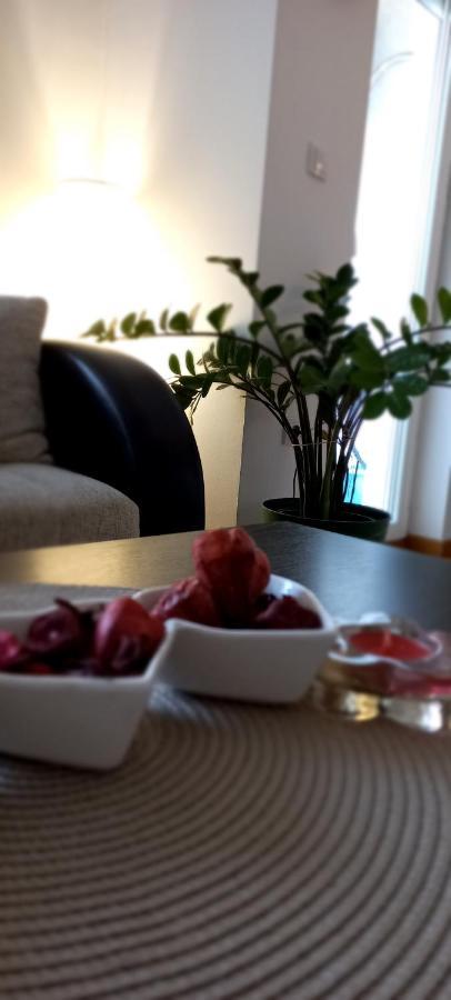 Beautifull Apartment Ni Екстериор снимка